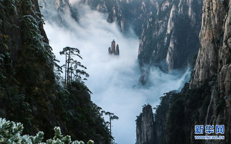 登高观云海 醉觉黄山奇