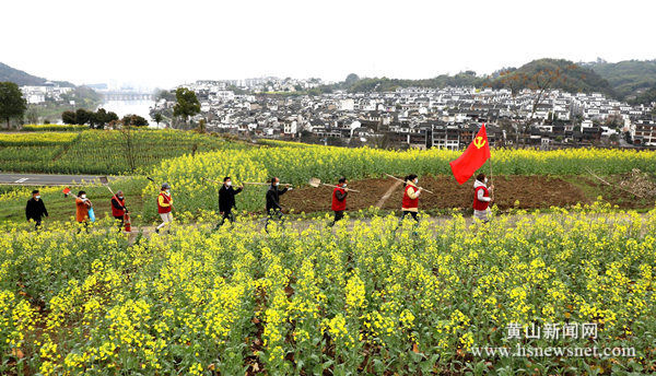 安徽歙县：植树造景美渔梁