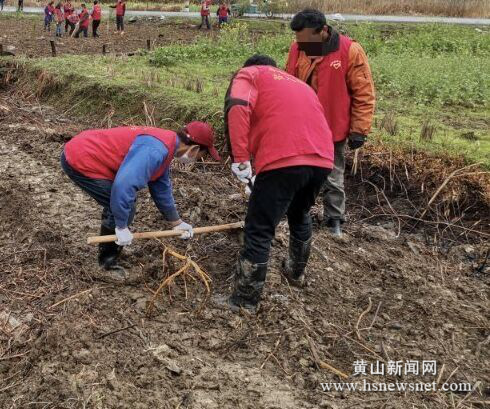 黟县宏潭司法所组织社区矫正人员参加义务植树活动
