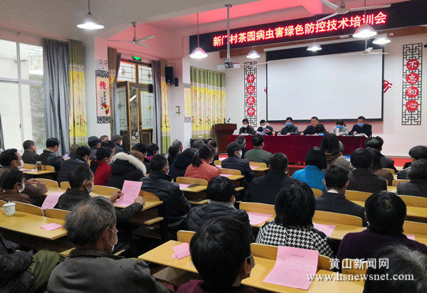 歙县街口镇：积极推进茶园绿色防控