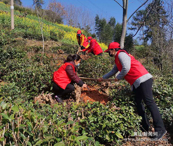 歙县杞梓里镇：筑牢防疫绿屏障