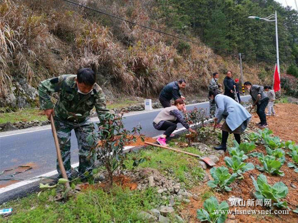 休宁璜尖乡：干群齐上阵 绿化植树忙