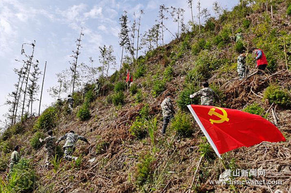 歙县长陔乡：义务植树添彩雷笋产业