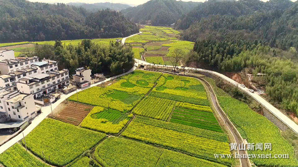 徽州区岩寺镇：创意油菜花海助推乡村旅游