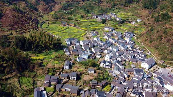 休宁县溪口镇：梦里祖源花正好