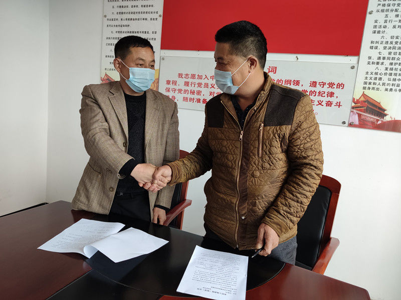 歙县许村镇：做活“土地文章”走出增收新路子