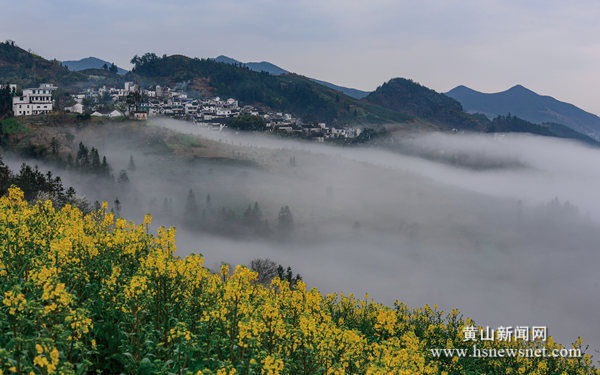歙县杞梓里镇：流云如瀑，醉美坡山