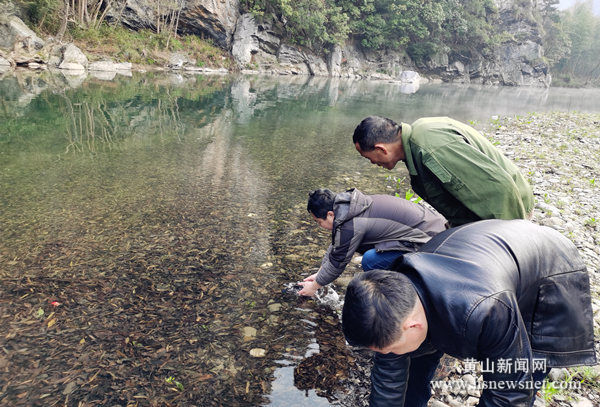 黟县美溪乡：加强渔业资源管理  助推水域生态文明