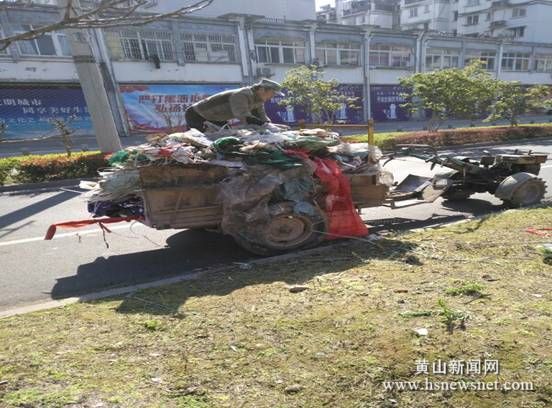 屯溪区阳湖镇治理“毁绿种菜”还绿于民