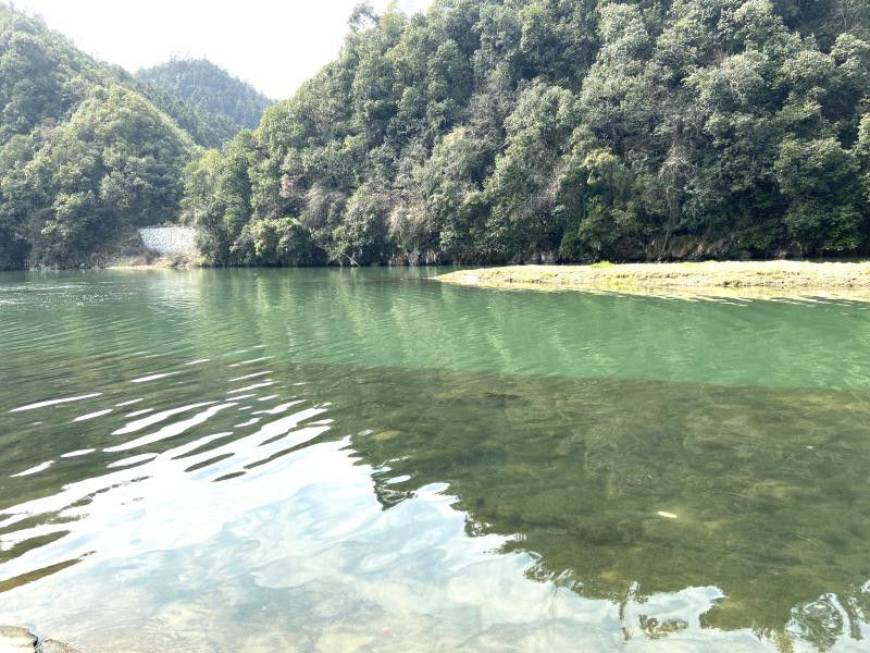 歙县富堨镇：开展水环境整治 疫情防控添保障