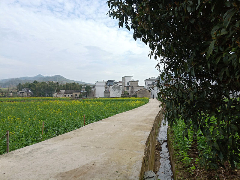 歙县霞坑镇：环境整治齐参与  乡村颜值大提升