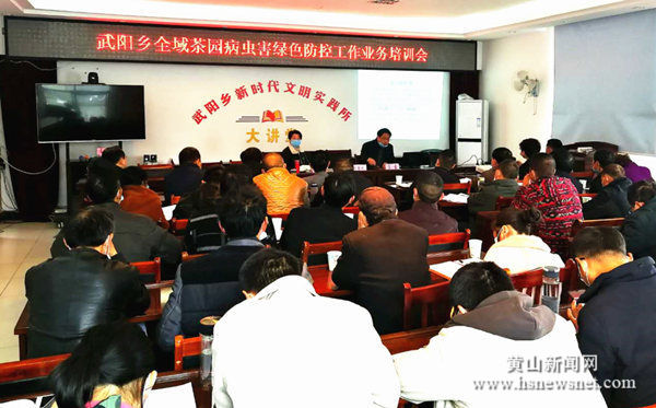 歙县武阳乡全面启动茶园病虫害绿色防控