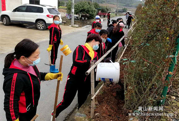 歙县桂林镇：春风暖大地 巾帼造新绿