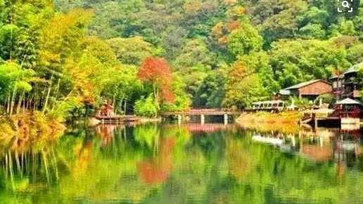 强化复工监管 确保旅游市场有序按下“恢复键”