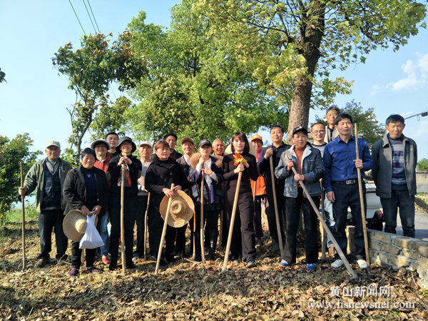屯溪区屯光镇南溪南村：种植花卉美家园