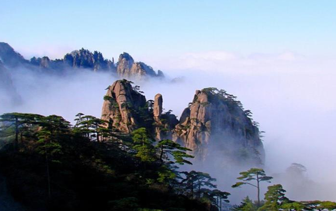黄山风景区管委会荣获2019年度全市民生工程组织实施工作优秀单位称号