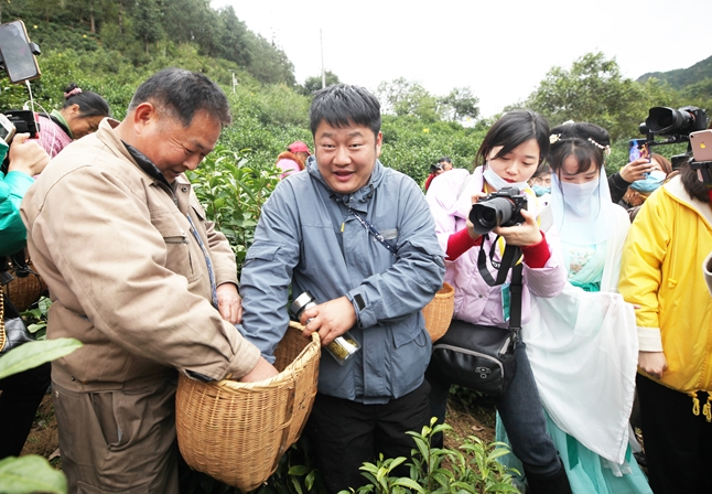 黄山毛峰文化节开幕 网红现场直播带货