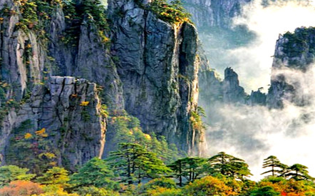 黄山风景区启动昆虫资源调查工作