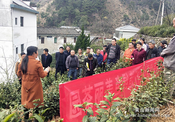 歙县三阳镇：志智双扶激发内生力