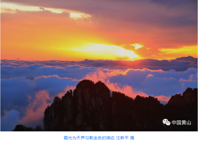 这么美的黄山，难怪薇娅都想来直播！