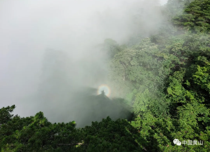 端午假期第一天：游客在黄山之巅高高兴兴过端午