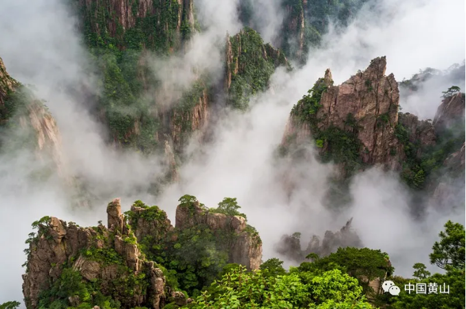 免费政策+旅游攻略！学生朋友快来游黄山……