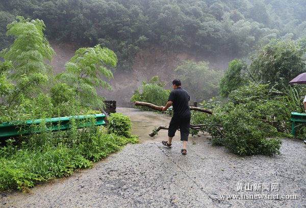 黄山区太平湖镇全力抗洪救灾