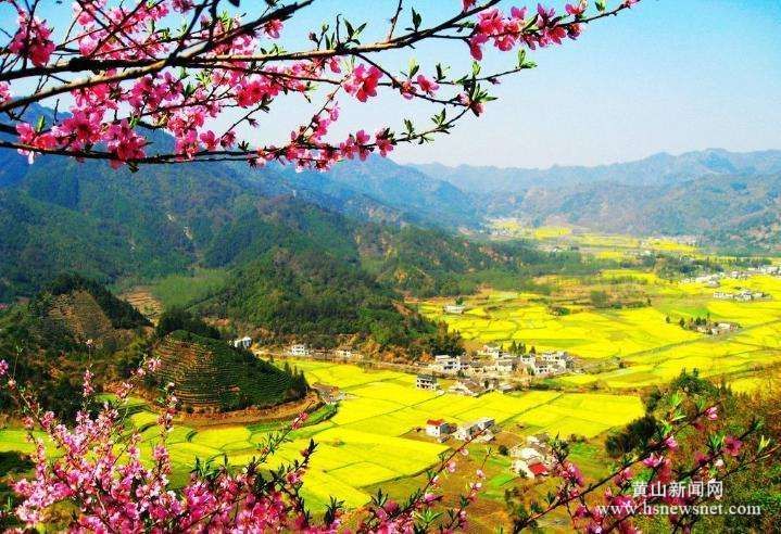 黟县柯村镇：奋力谱写老区发展新篇章