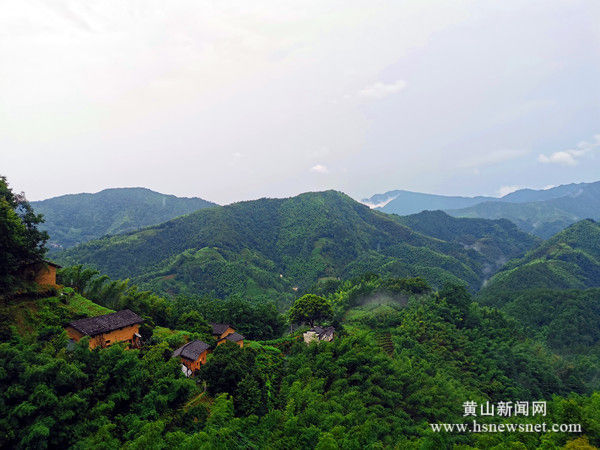 歙县坑口乡：喇叭山上好风光