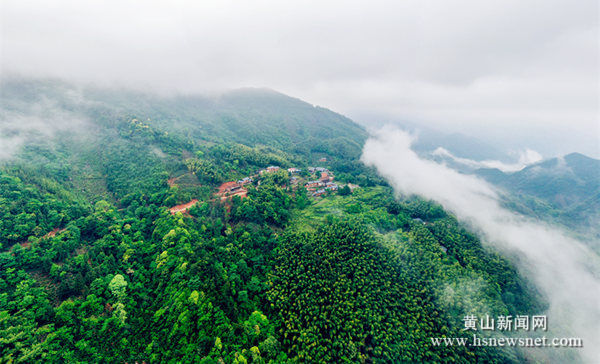 祁门红旗村：茶旅并进引领村民过上新生活