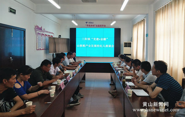 歙县三阳镇：党建引领树品牌   金融服务聚合力