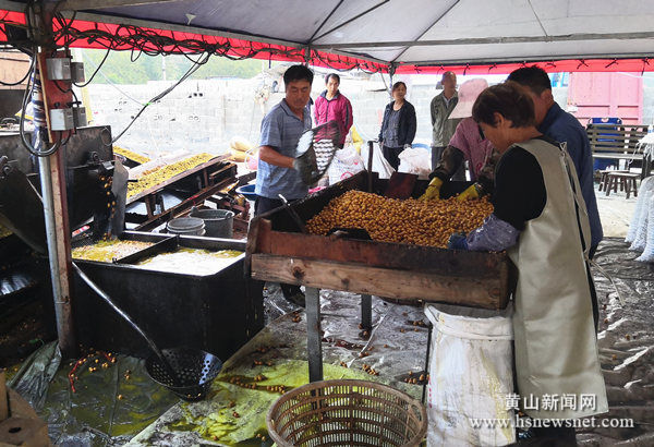 歙县三阳镇：多点发力加强山核桃采收安全管理