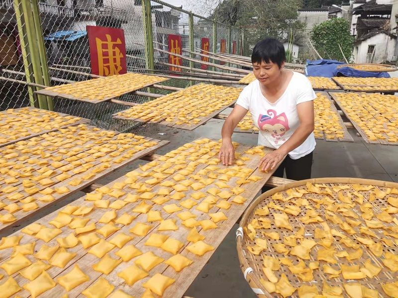 汪村镇：秋阳下的“黄金叶”