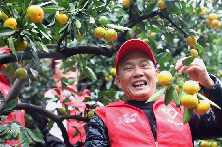 助力橘子营销 促进农户增收