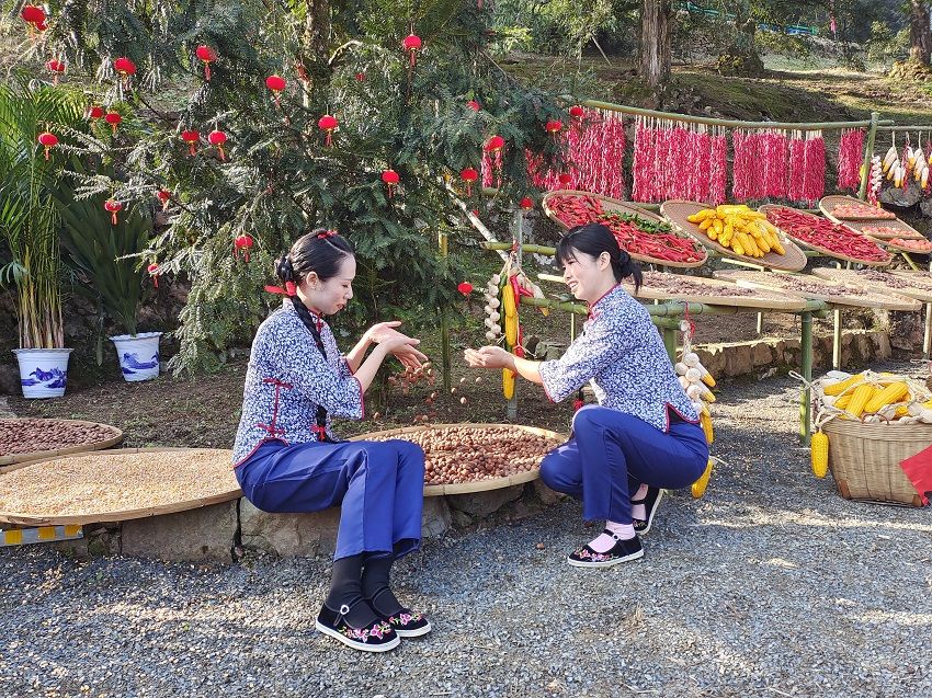 第三届黄山樵山香榧文化旅游节成功举办