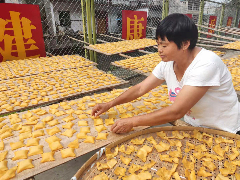 休宁县：秋阳下的“黄金叶”