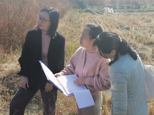 祁门县严格落实好上年度中药材种植奖补政策