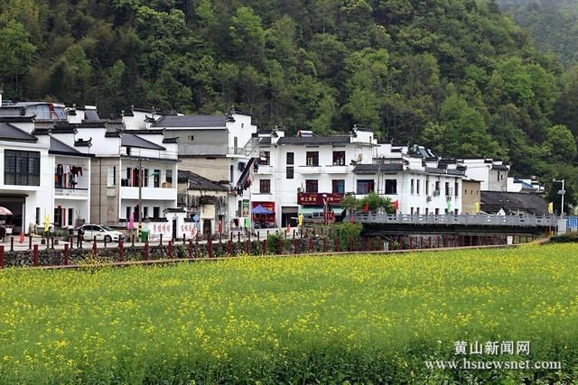 黟县柯村镇：在“红绿”融合中铺就可持续发展道路