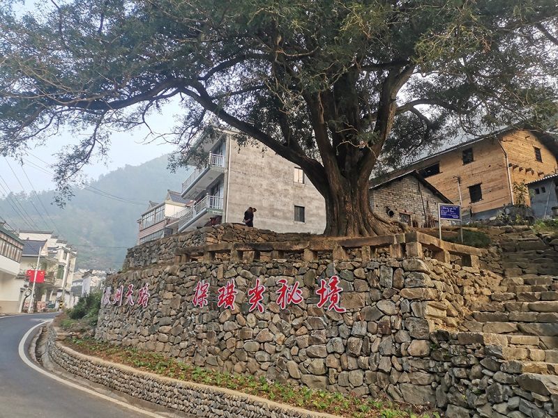 璜尖乡：提升徽州天路“软实力”