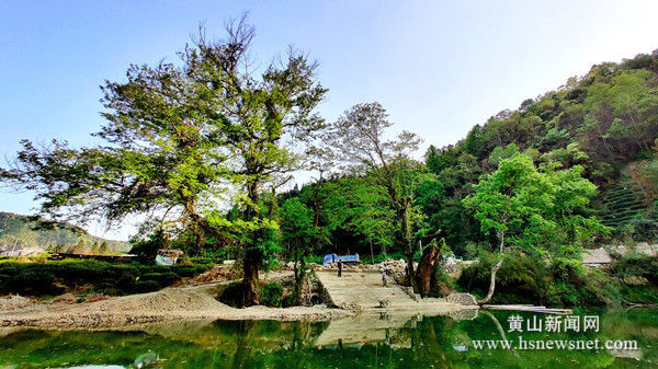 黟县美溪：守护碧水蓝天   绘就绿色画卷