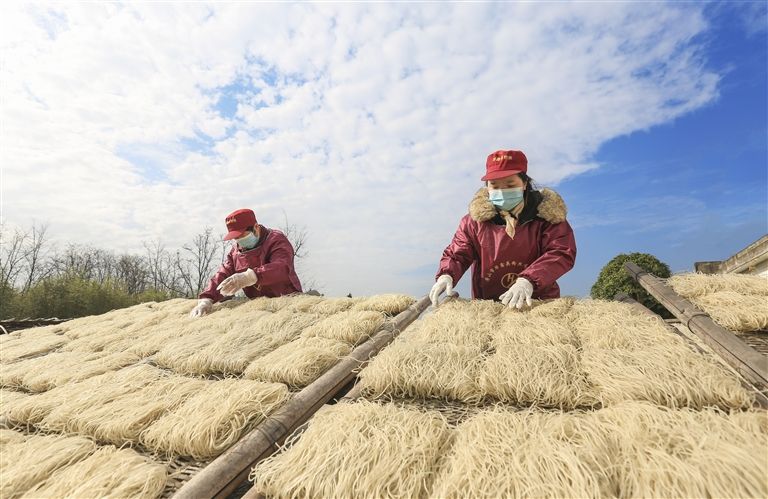 粉丝产业拓宽致富路