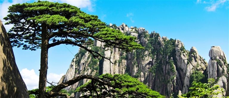 招才引智，构筑人才汇聚新高地