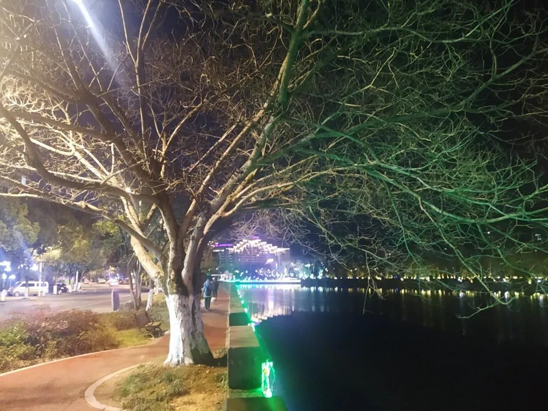 江畔冬夜景观美
