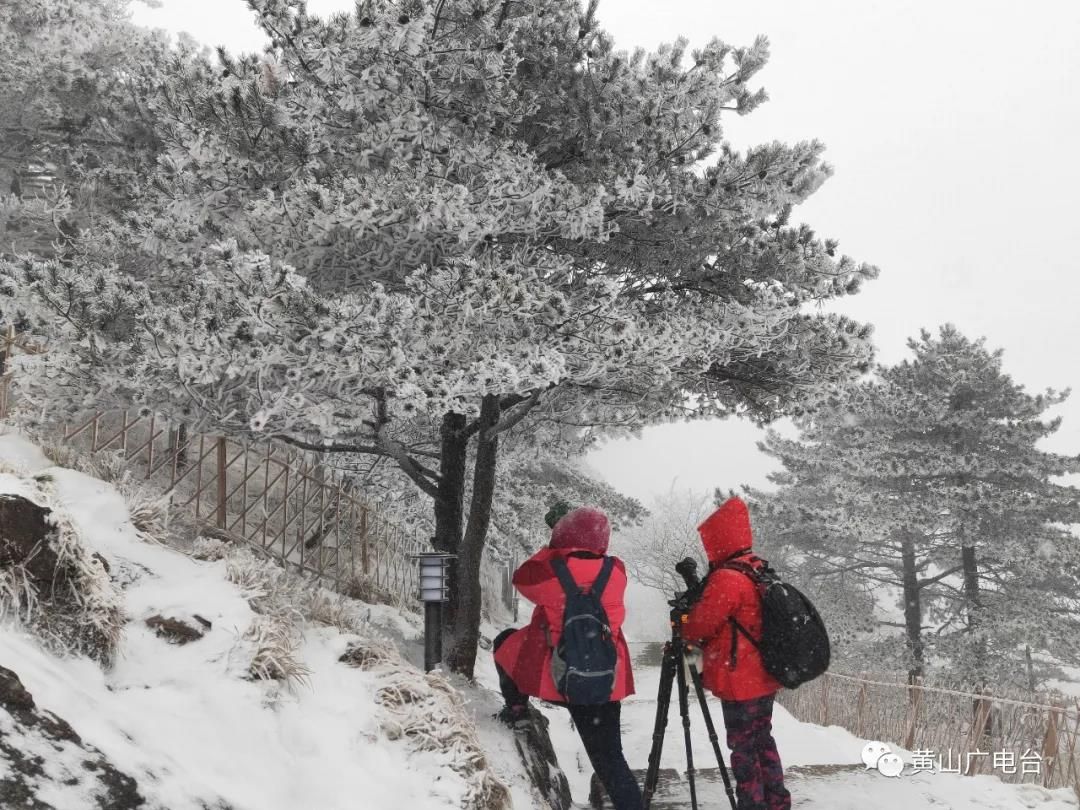 美轮美奂！黄山风景区迎来新年首场降雪！
