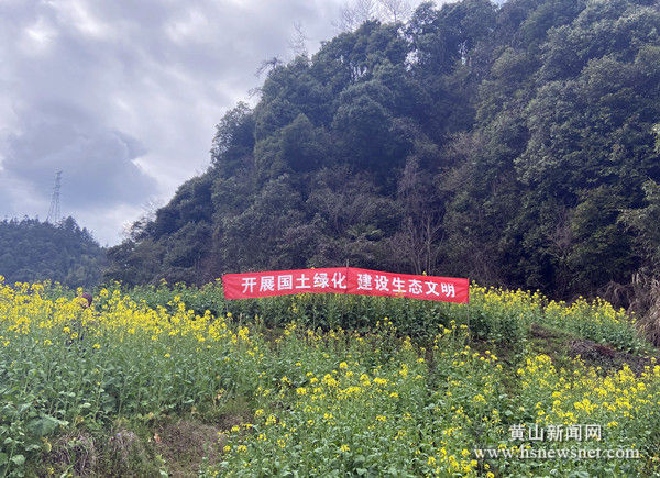 黟县西递镇：义务植树为生态家园添新绿