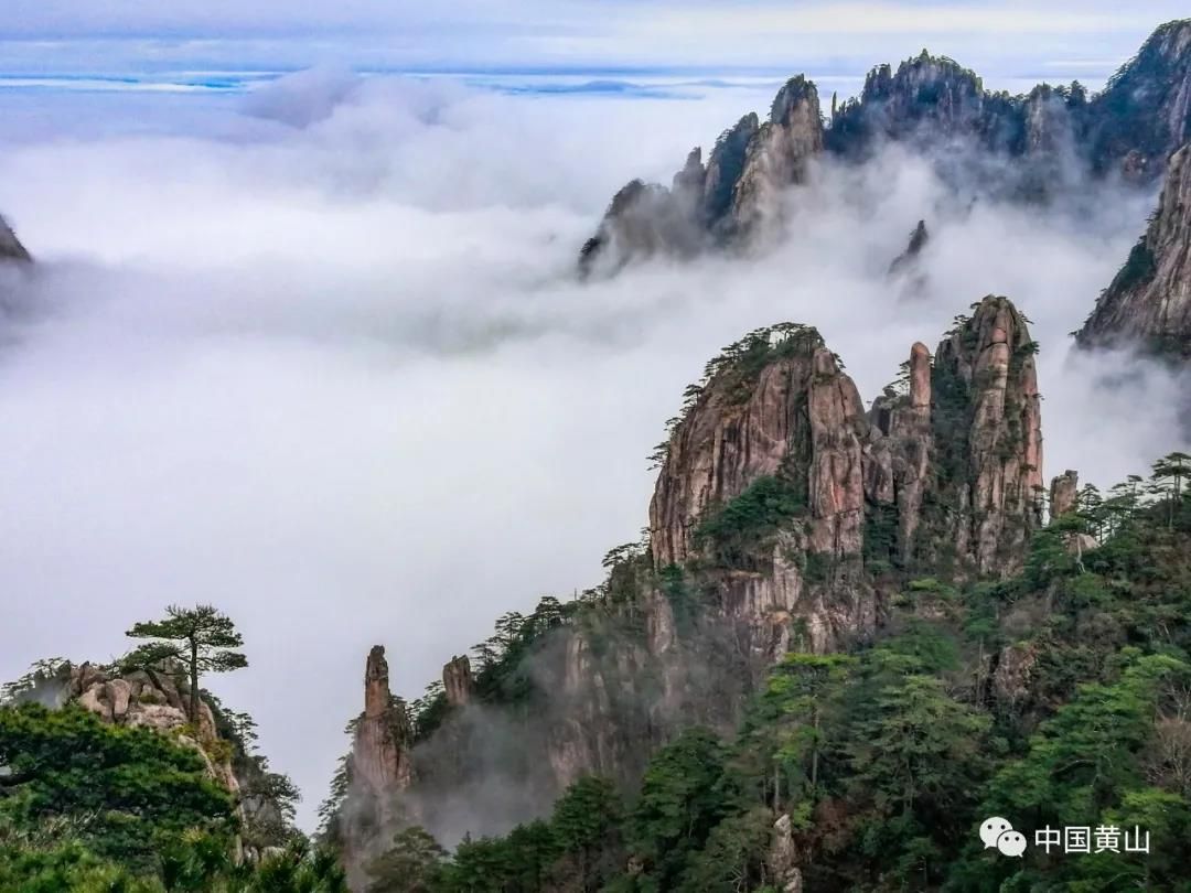 清明假期游黄山，超详细的旅游实用攻略来啦！
