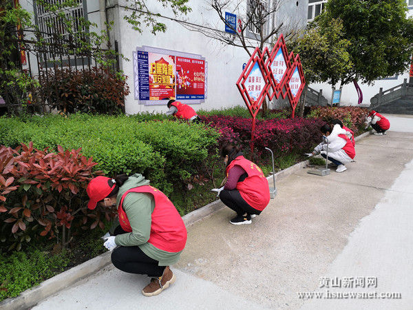 徽州区：激活“她力量” 助力城市社区治理