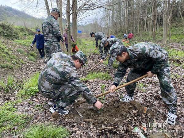 黟县渔亭：春日添新绿 种下致富苗