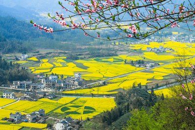 黟县柯村司法所：多举措夯实社区矫正工作