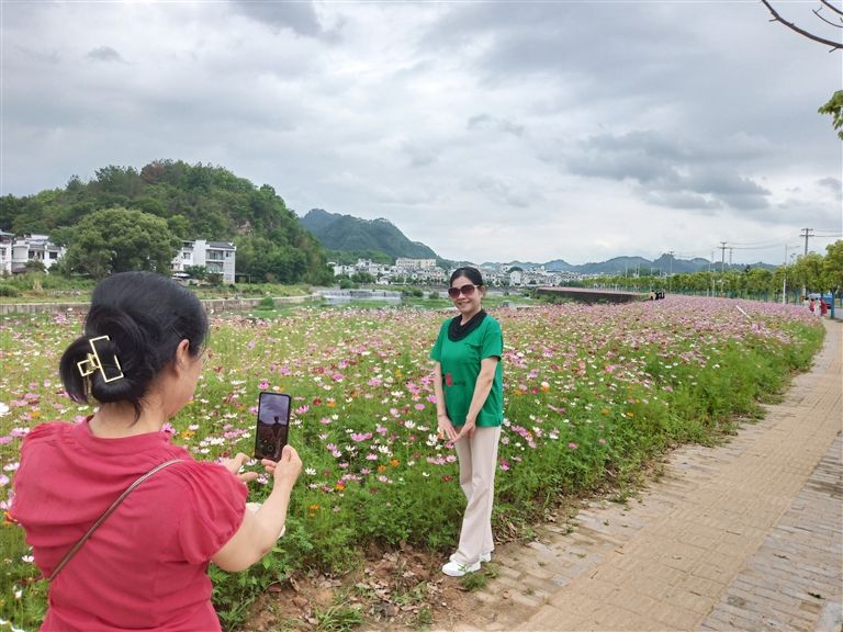 珮琅西路花海——打卡圣地
